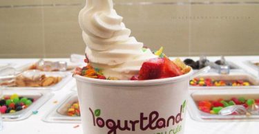 Is there a Decline in Frozen Yogurts?
